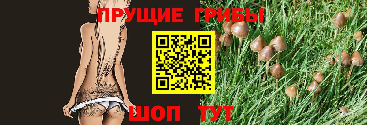 Псилоцибиновые грибы мицелий  купить наркотики сайты  Воткинск  Вход с VPN 